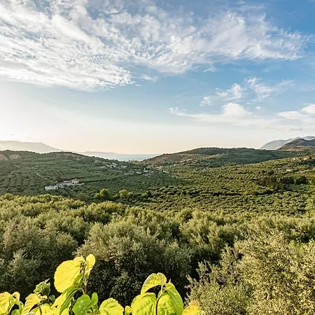 Rikanthos Stone Sea View ι * Faleliana