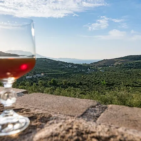 Appartement Rikanthos Stone Sea View ι